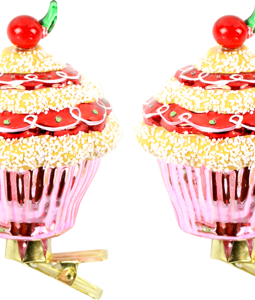 8555 PINCE-NEZ MUFFIN S/4